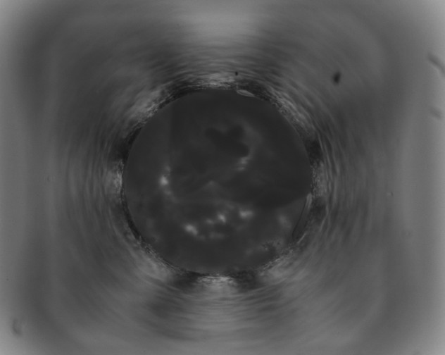 X0000091240427200708301543