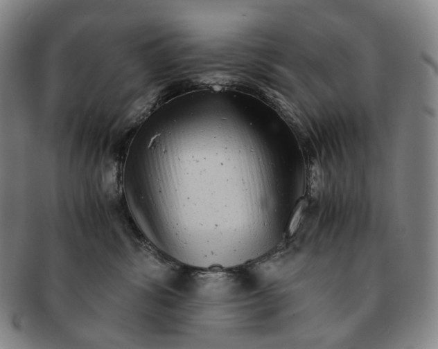 X0000091240428200708301543