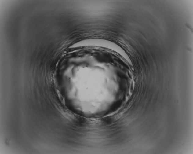 X0000091240429200708301543