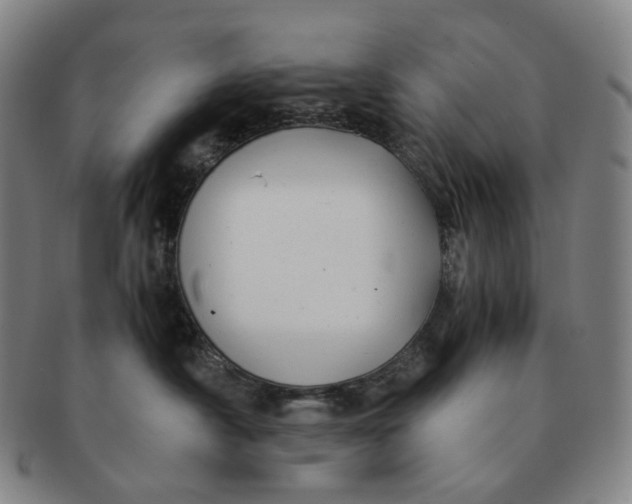 X0000091240430200708301543