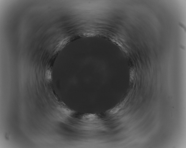 X0000091240431200708301543