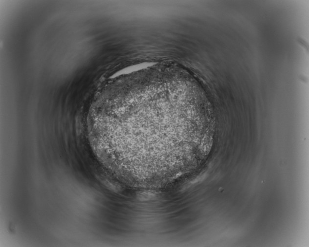 X0000091240432200708301543