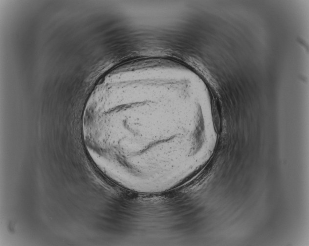 X0000091240433200708301542