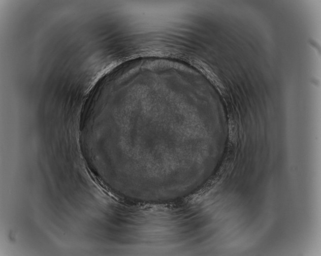 X0000091240434200708301542