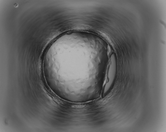 X0000091240435200708301542