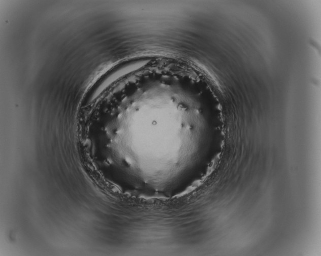 X0000091240436200708301542