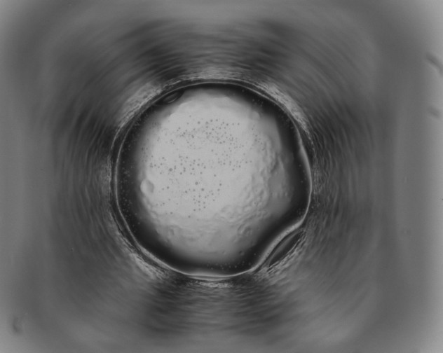 X0000091240437200708301542