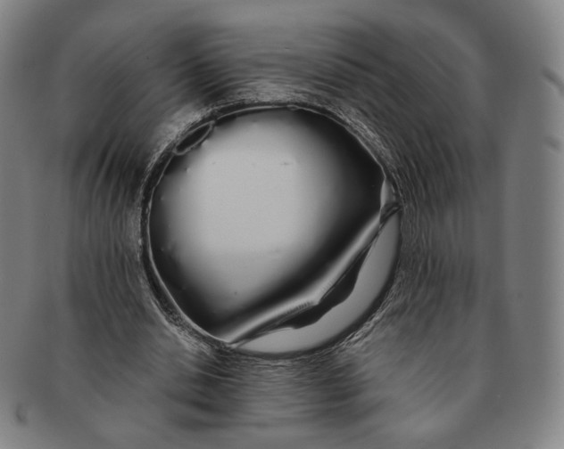 X0000091240438200708301542