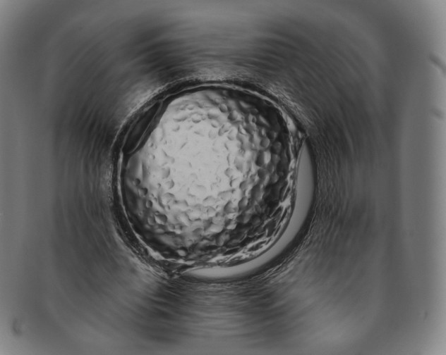 X0000091240440200708301542