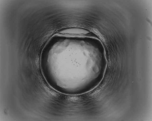 X0000091240441200708301542