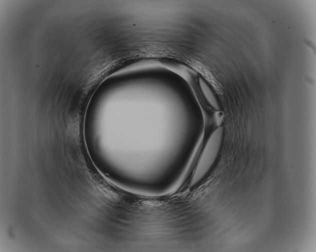 X0000091240442200708301542