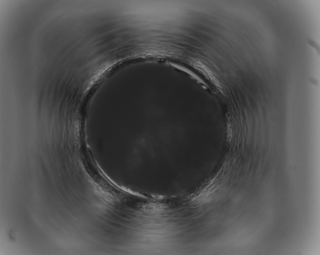 X0000091240444200708301542