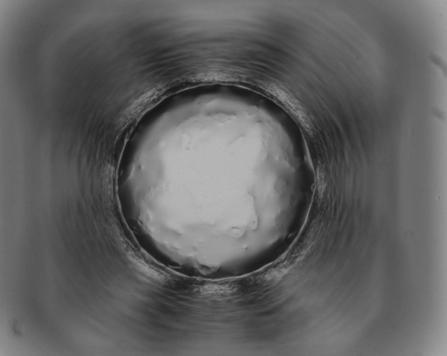 X0000091240445200708301542