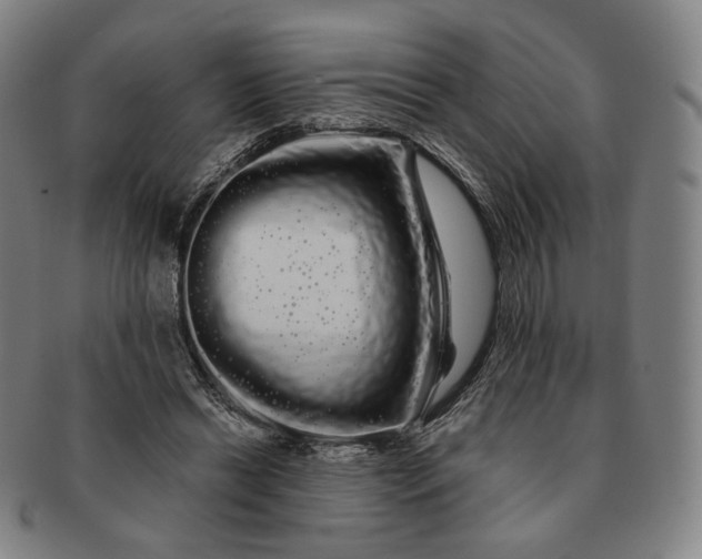 X0000091240446200708301542