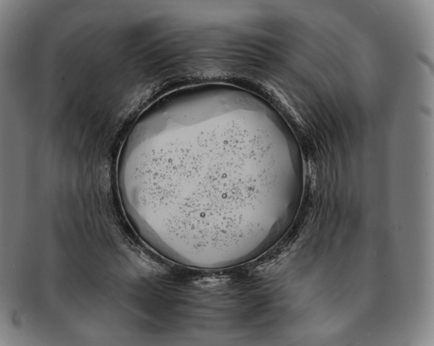 X0000091240447200708301542