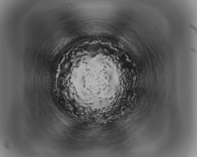 X0000091240448200708301542