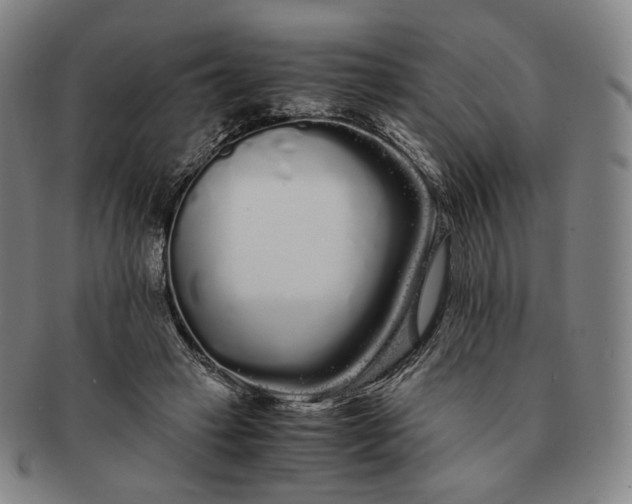 X0000091240449200708301542