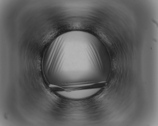 X0000091240450200708301542