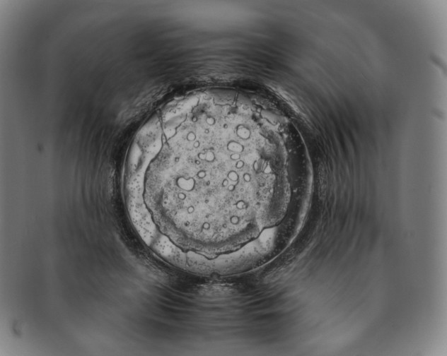 X0000091240451200708301542