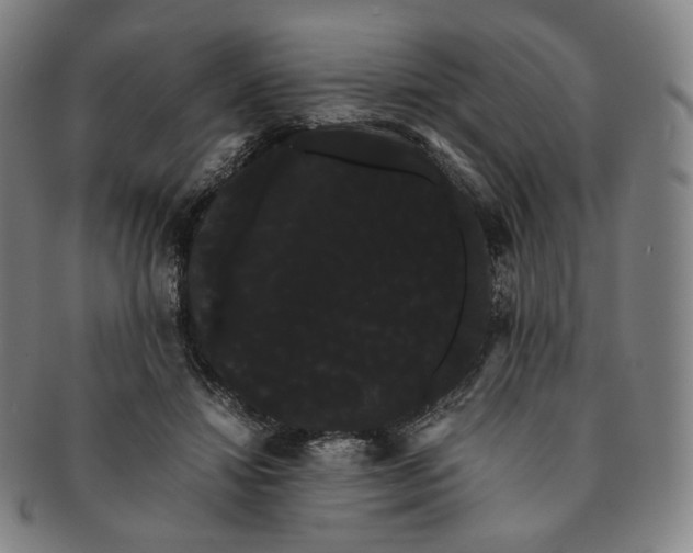 X0000091240452200708301542