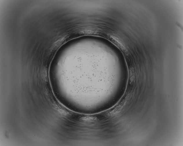 X0000091240453200708301543