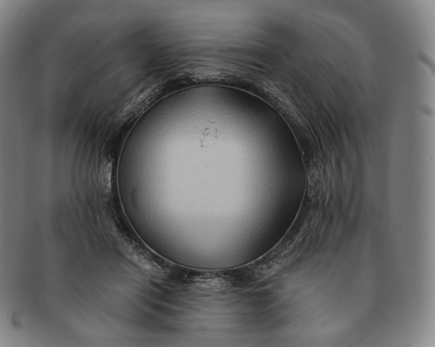 X0000091240454200708301543