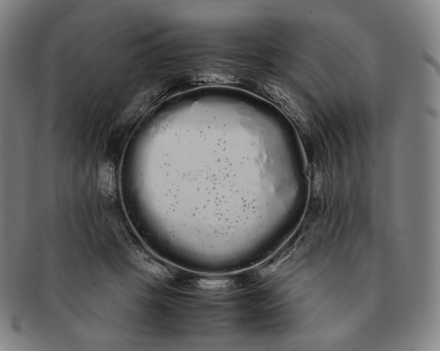 X0000091240457200708301543