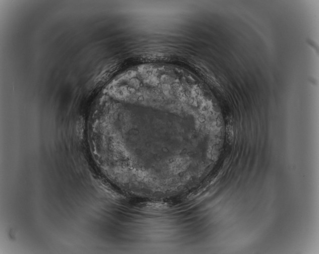 X0000091240458200708301543