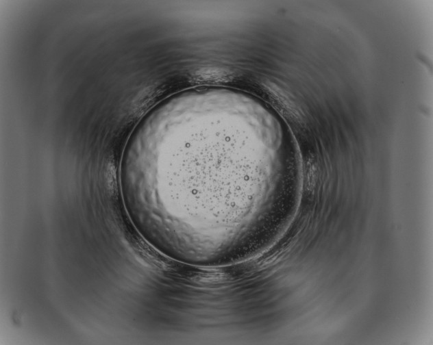 X0000091240459200708301543