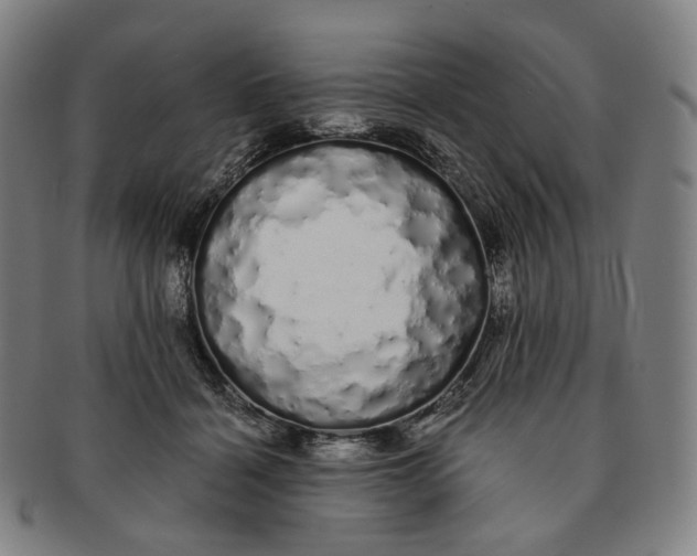 X0000091240460200708301543