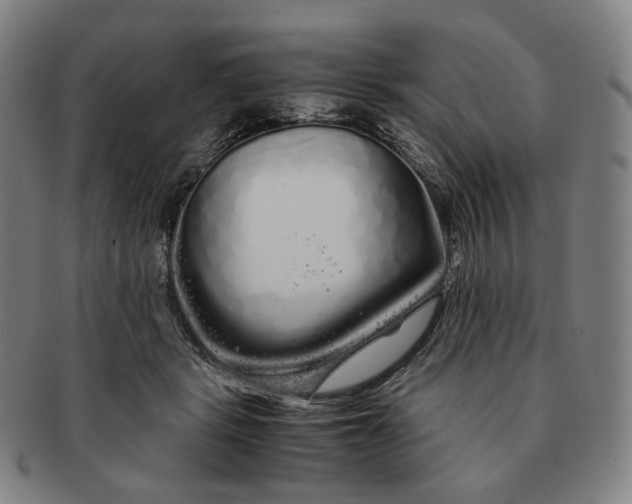 X0000091240461200708301543