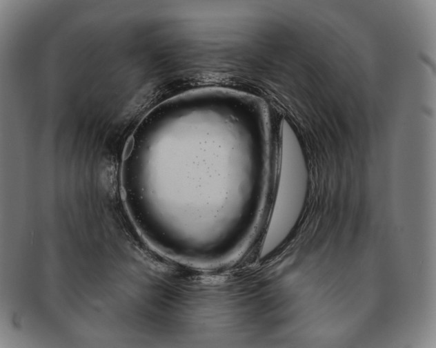 X0000091240462200708301543