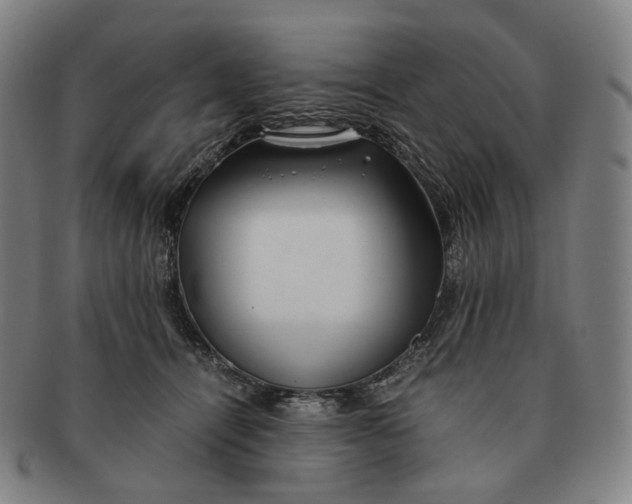 X0000091240464200708301543