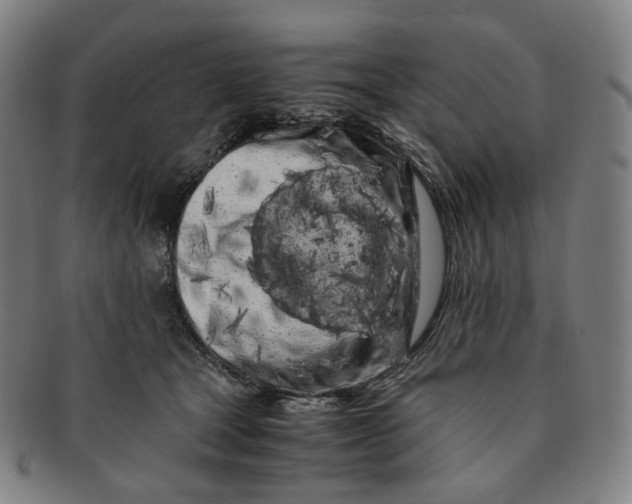 X0000091240465200708301543