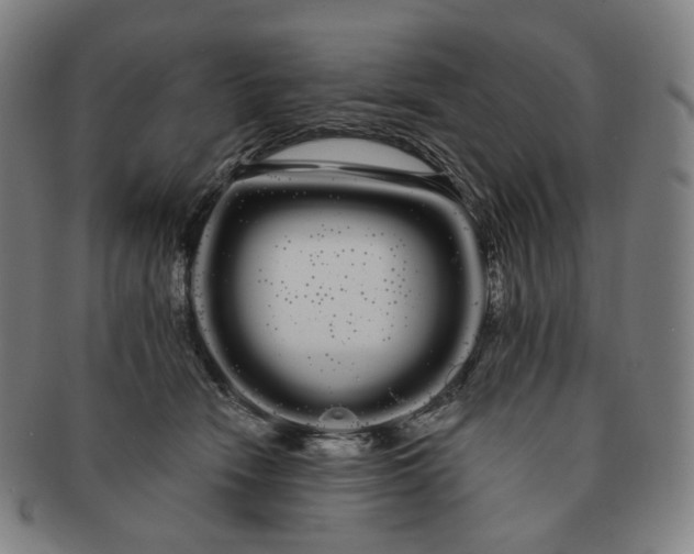 X0000091240466200708301543