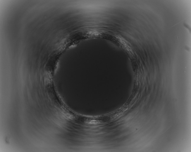 X0000091240467200708301543