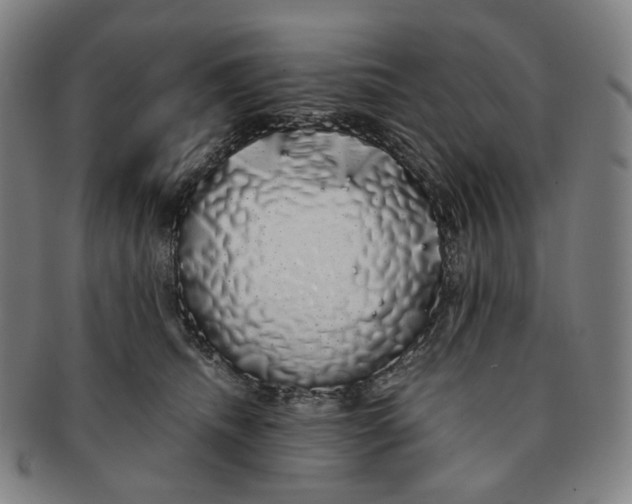 X0000091240468200708301543