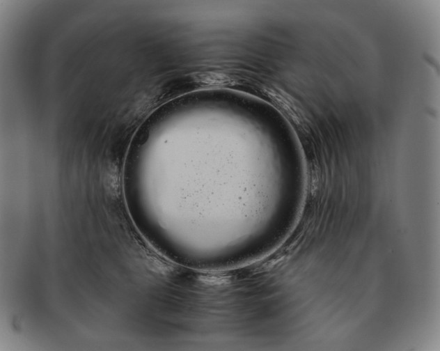 X0000091240469200708301543