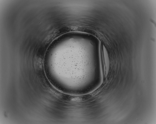 X0000091240470200708301543