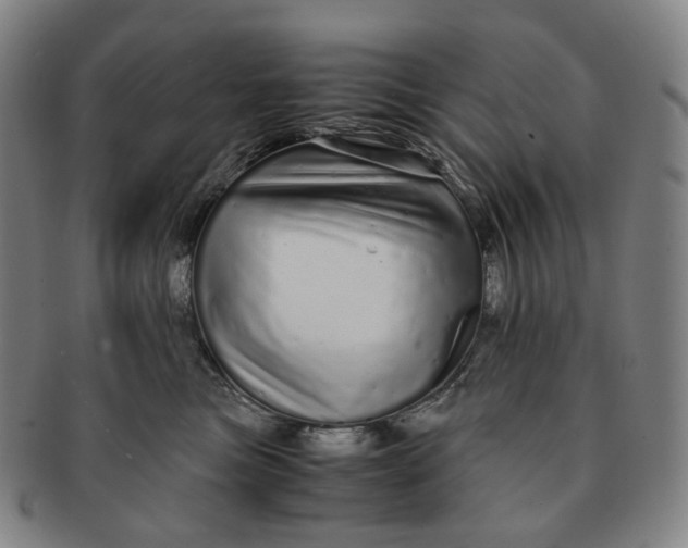 X0000091240473200708301543