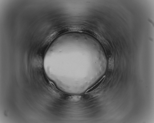 X0000091240474200708301543