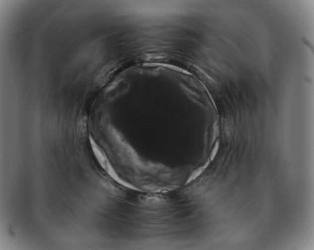 X0000091240475200708301543