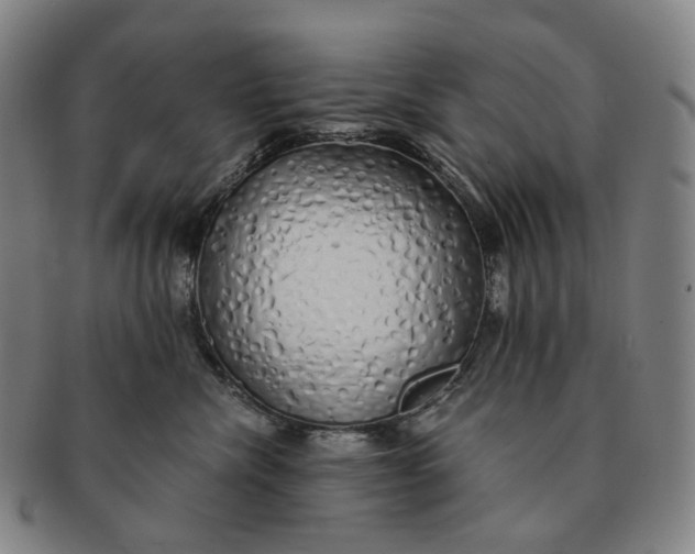 X0000091240476200708301543