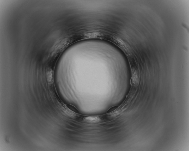 X0000091240477200708301543