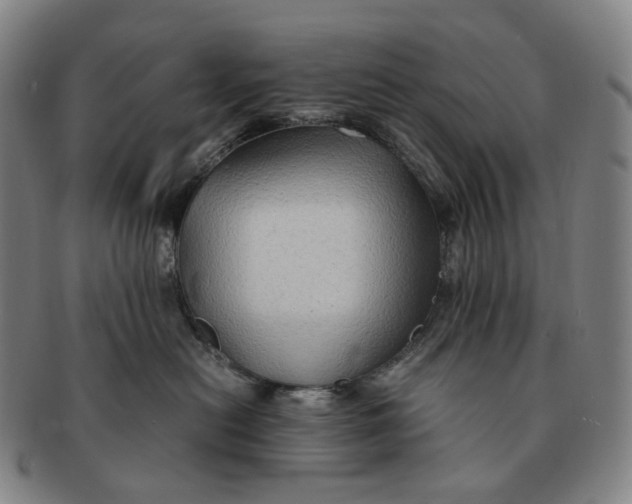 X0000091240478200708301543