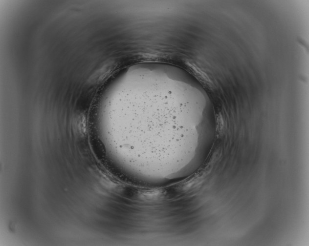 X0000091240479200708301543