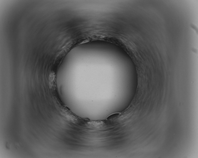 X0000091240480200708301543