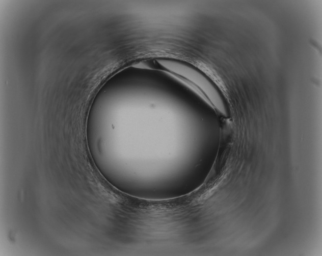 X0000091240481200708301542