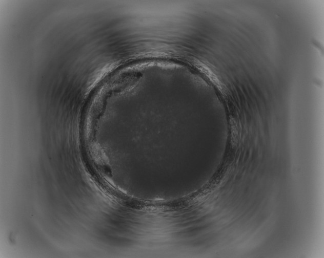 X0000091240482200708301542