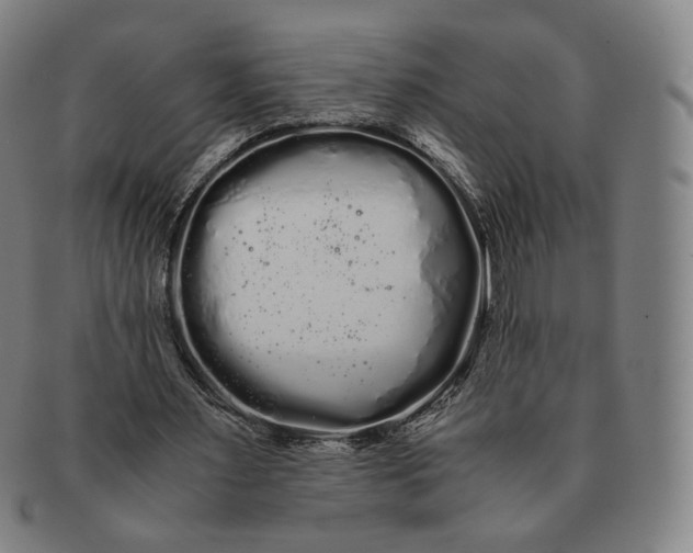 X0000091240483200708301542